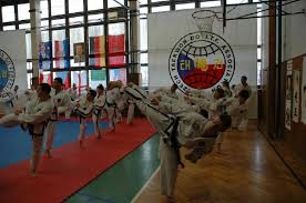 Image result for Itf Taekwondo Woking