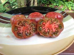 Afbeeldingsresultaat voor purple calabash tomato