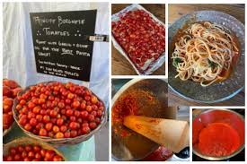 Afbeeldingsresultaat voor principe borghese tomato