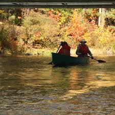 Image result for Ringwood Canoe Club