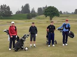 Image result for Braehead Golf Club