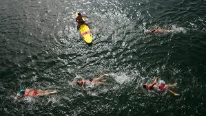 Image result for Dover Lifeguard Sc