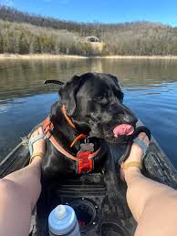 Image result for Ingarfield Condor Team