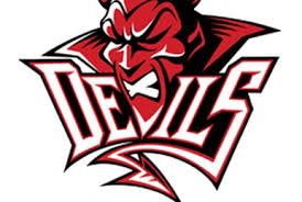 Image result for Cardiff Comets Ladies Ice Hockey