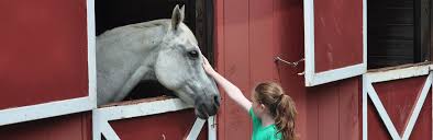 Image result for Almond Riding Club