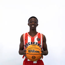 Image result for Aylesbury Dux Basketball Club