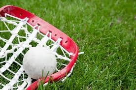 Image result for Welwyn Warriors Lacrosse Club