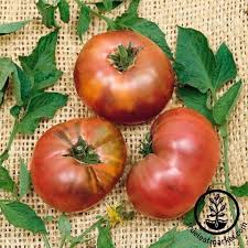 Afbeeldingsresultaat voor black brandywine tomato