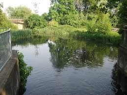 Image result for Broxbourne Rowing Club