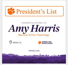 Image result for Dover Lifeguard Sc