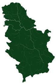 Attēlu rezultāti vaicājumam “Geocrypta galii”