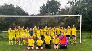 Image result for Farnborough Rfc Minis & Juniors