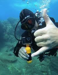 Image result for Canary Divers