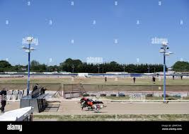 Image result for Reading Greyhound Track