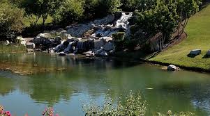 Image result for Falcon Kayak Club