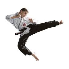 Image result for COMBAT TAEKWONDO