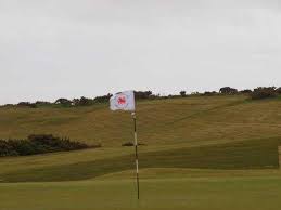 Image result for Clyne Golf Club Limited