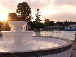 Image result for Cheltenham Swimming & Water Polo Club