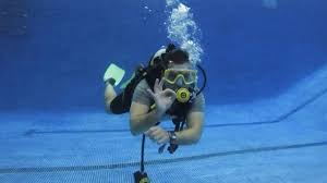 Image result for Aylesbury Ducks Sub Aqua Club