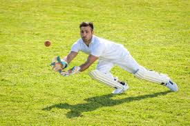 Image result for Park Hill Cricket Club