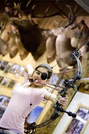 Image result for Brent Valley Archers