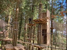 Image result for Go Ape! Whinlatter