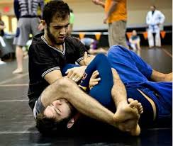 Image result for Tsunami Karate Club