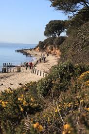 Image result for New Forest/Waterside