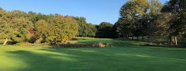 Image result for Chelmsford Gc