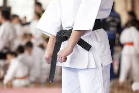 Image result for Martial Arts London