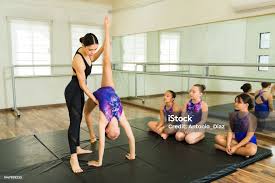 Image result for Lynx Gymnastics Club