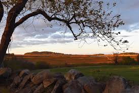 Image result for Essex Stragglers