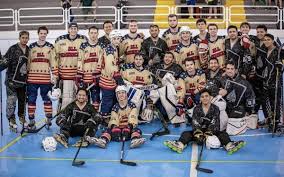 Image result for Team-Tigers Roller Hockey Club