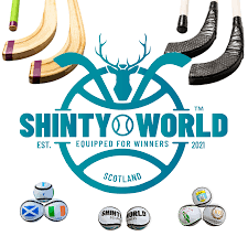 Image result for World of Shinty