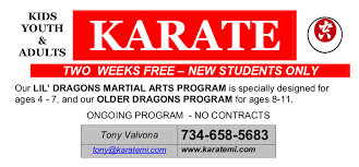 Image result for Shotokan Karate Union