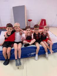 Image result for Harnham Gymnastics Club