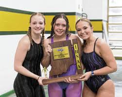 Image result for Sowerby Bridge Ladies Swimming Club