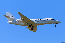 Image result for gepetto tehron