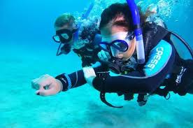 Image result for Robin Hood Dive School