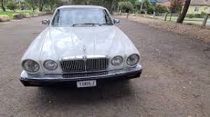 Image result for Silver Sand 1983 Jaguar