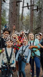Image result for Go Ape! Moors Valley
