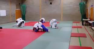 Image result for Ipswich Judo Club