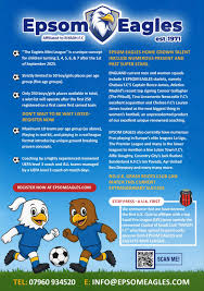 Image result for Epsom Eagles Football Club