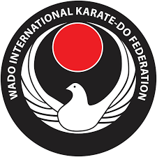 Image result for Thatcham Wado Karate Club