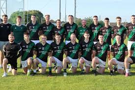 Image result for Parnells Gaelic Football Club