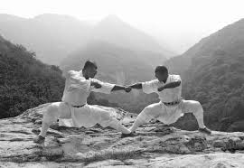 Image result for Shaolin Ancestors kung Fu School