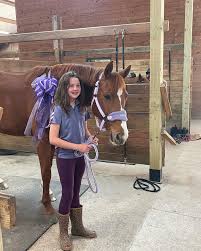 Image result for Carman Stables