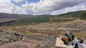 Image result for Tees Valley Target Sports