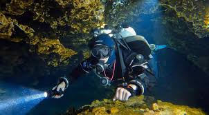 Image result for Southdown Divers
