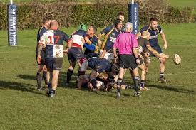 Image result for Ellingham and Ringwood Rugby Club